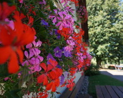 Der Brujosenhof (Oppenau - Ibach) Der Brujosenhof (Oppenau - Ibach)