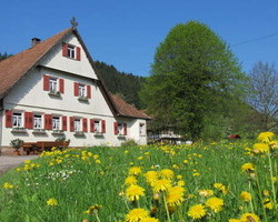 Der Brujosenhof (Oppenau - Ibach) Der Brujosenhof (Oppenau - Ibach)