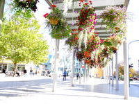 Copyright Tourismus Rheinfelden (Baden) Copyright Tourismus Rheinfelden (Baden)