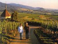 Reben-Wanderer (Bildnachweis: Mit freundlicher Genehmigung der Kur und B�der GmbH Bad Krozingen)