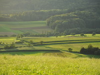 Blick vom Saalenberg zum Heidenweg (Bildnachweis: Gemeinde S�lden)