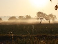 Tiefenbronn (Bildnachweis: Mit freundlicher Genehmigung des Bürgermeisteramtes Tiefenbronn)