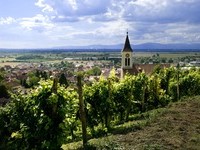 Auggen  (Bildnachweis: Mit freundlicher Genehmigung der Touristikinformation Auggen / Winzerkeller Auggener Schäf)