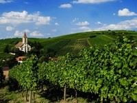 Auggen (Bildnachweis: Mit freundlicher Genehmigung der Touristikinformation Auggen / Winzerkeller Auggener Schäf)