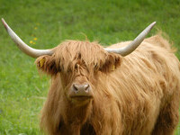  (Bildnachweis: Mit freundlicher Genehmigung der Gemeinde Eggingen, Foto Regio-Experten)