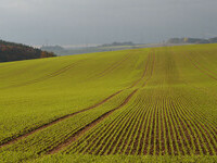 (Bildnachweis: Mit freundlicher Genehmigung der Gemeinde Eggingen, Foto Regio-Experten) (Bildnachweis: Mit freundlicher Genehmigung der Gemeinde Eggingen, Foto Regio-Experten)