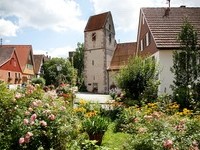 (Bildnachweis: Mit freundlicher Genehmigung der Teinachtal Touristik) (Bildnachweis: Mit freundlicher Genehmigung der Teinachtal Touristik)