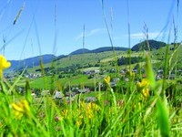  (Bildnachweis: Mit freundlicher Genehmigung Tourist Information Bernau)