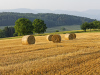 (Bildnachweis: Stadt_Rheinfelden) (Bildnachweis: Stadt_Rheinfelden)