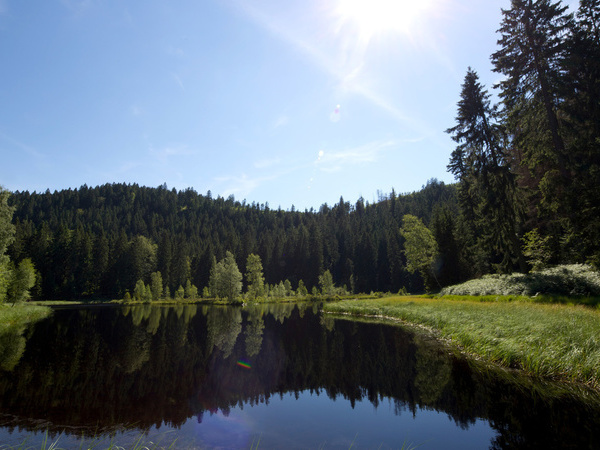 Buhlbachsee Bildnachweis: Ulrike Klumpp