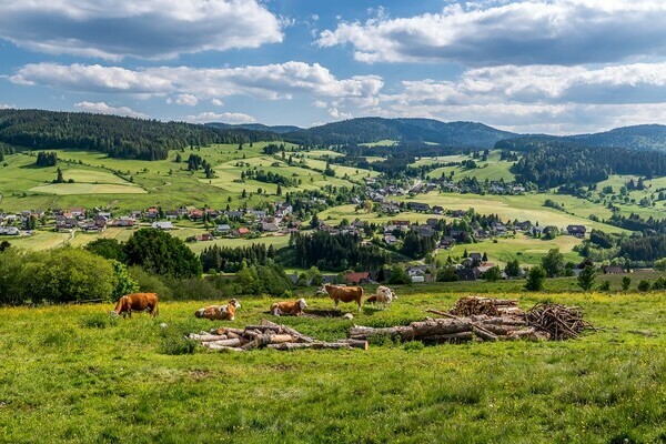Copyright: (Mit freundlicher Genehmigung Tourist Information Bernau)  Copyright: (Mit freundlicher Genehmigung Tourist Information Bernau)