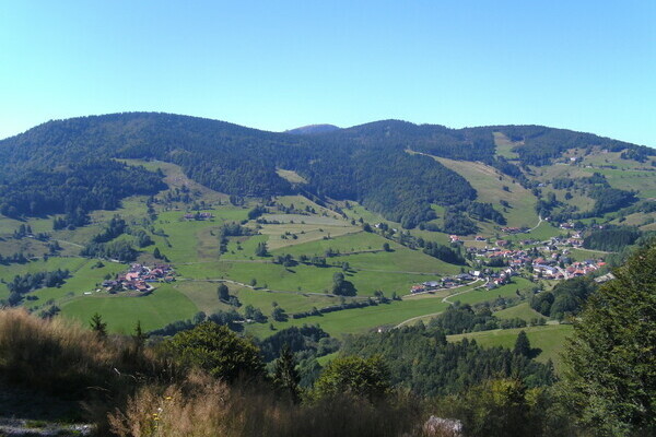 Copyright: (Mit freundlicher Genehmigung der Stadt Wieden)  Copyright: (Mit freundlicher Genehmigung der Stadt Wieden)