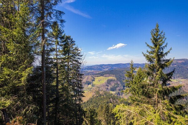 Teufelskanzelsteig Bildnachweis: &copy; Bad Peterstal-Griesbach