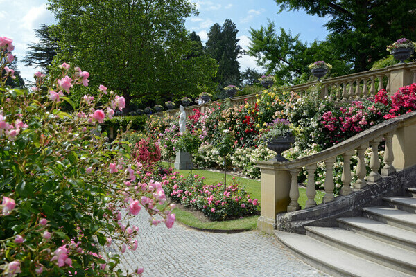 Rosengarten Bildnachweis:  Mainau GmbH